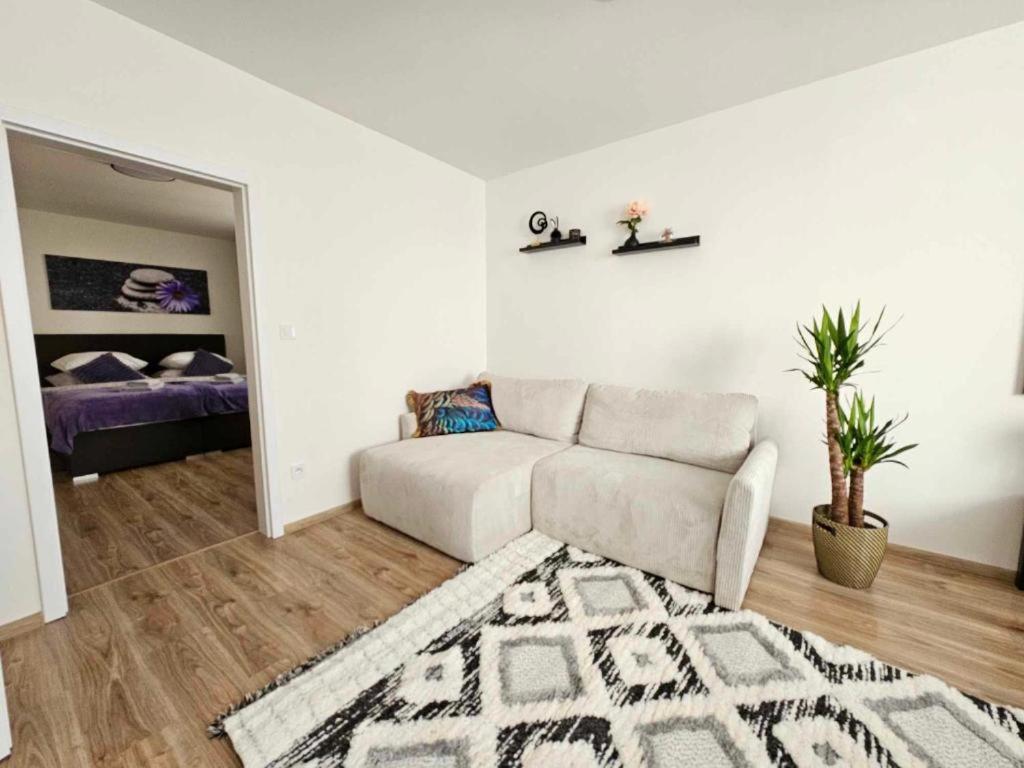 Dum Se Dvema Byty, Zahrada, Wifi, Netflix A Parkovani Zdarma, Klidna Cast Hradce Kralove Apartment